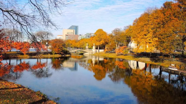 Boston-red-foliage-main image